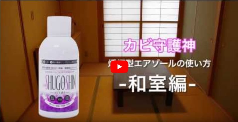エアゾールで畳 押入れの除菌 防カビ 消臭 プロのやり方を動画で解説 カビ防止対策 エアゾールで畳 押入れの除菌 防カビ 消臭 プロのやり方を動画で解説 カビ防止対策